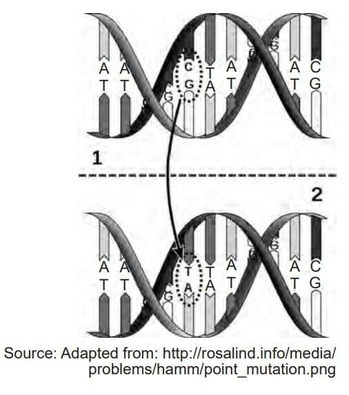 Question Image