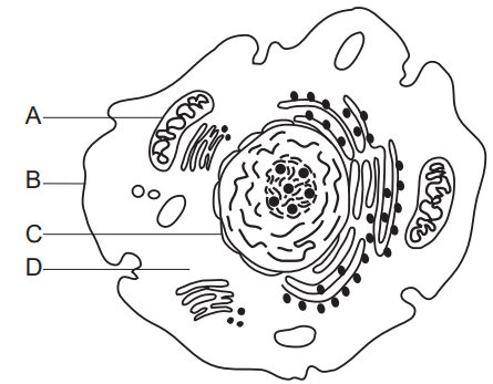 Question Image