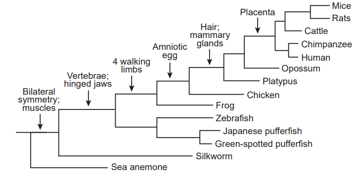 Question Image