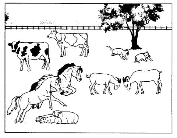 Question Image