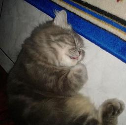 placeholder image to represent content