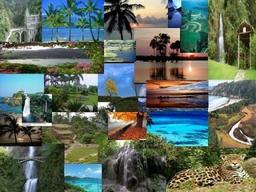 placeholder image to represent content