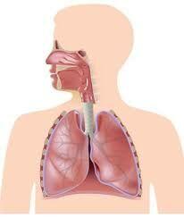 placeholder image to represent content