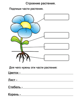 placeholder image to represent content