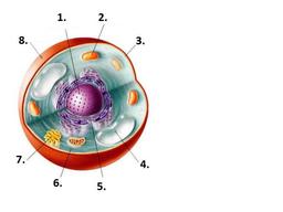 placeholder image to represent content