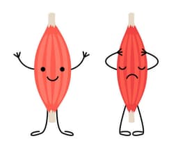 placeholder image to represent content