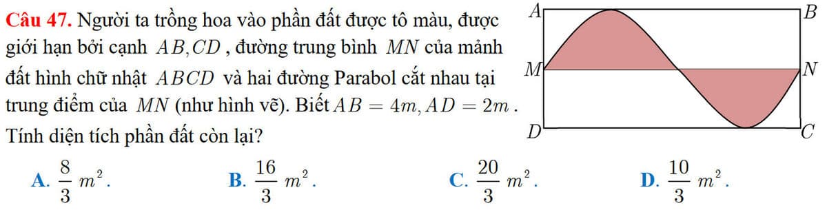 Question Image