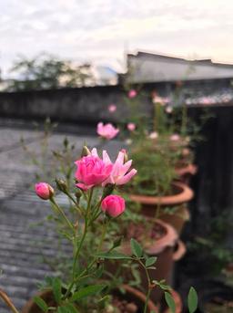 placeholder image to represent content