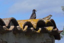 placeholder image to represent content