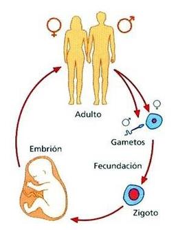 placeholder image to represent content