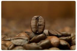 placeholder image to represent content