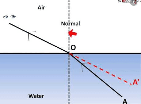 Question Image