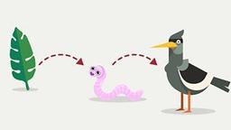 placeholder image to represent content