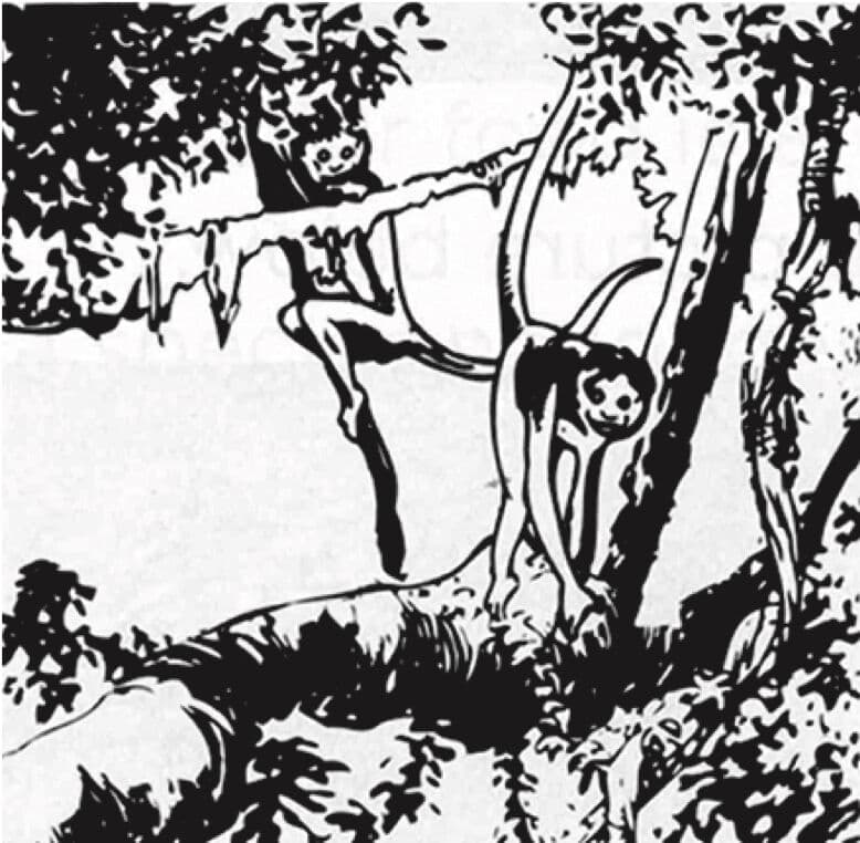 Question Image