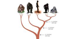 placeholder image to represent content