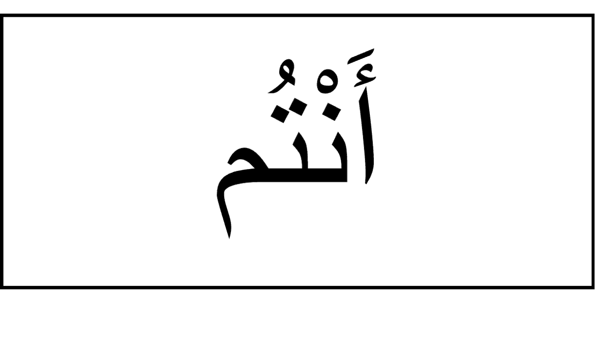 Answer Image