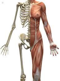 placeholder image to represent content