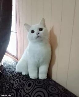 placeholder image to represent content