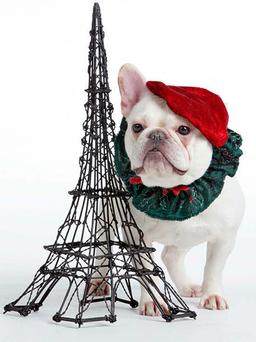 placeholder image to represent content