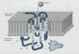 placeholder image to represent content