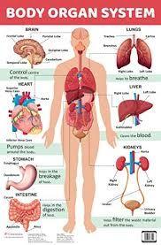 placeholder image to represent content