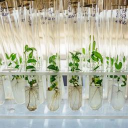 placeholder image to represent content