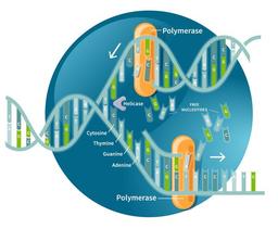 placeholder image to represent content