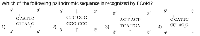 Question Image