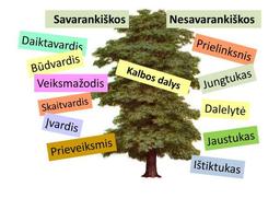 placeholder image to represent content