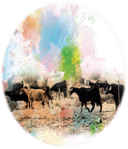 placeholder image to represent content