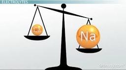 placeholder image to represent content