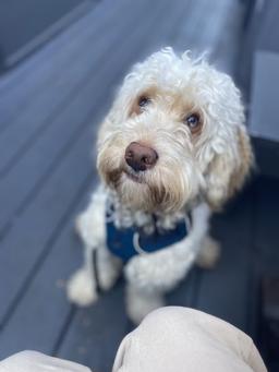 placeholder image to represent content