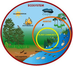 placeholder image to represent content