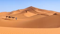 placeholder image to represent content
