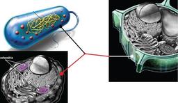 placeholder image to represent content