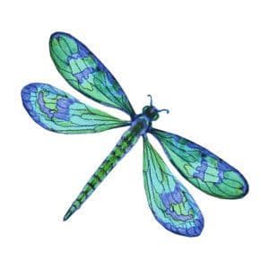 Answer Image
