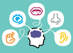 placeholder image to represent content