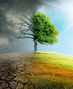 placeholder image to represent content