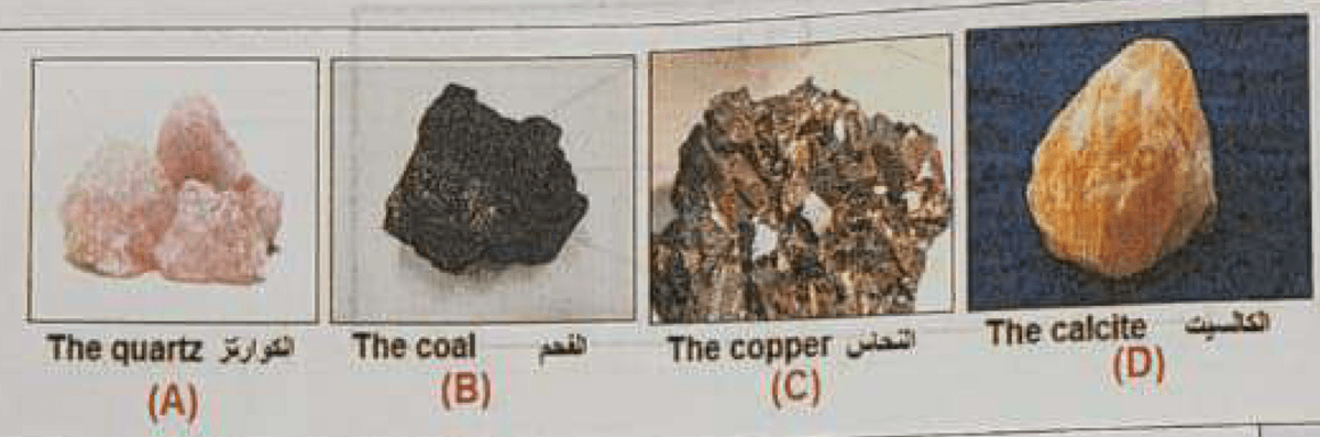 Question Image