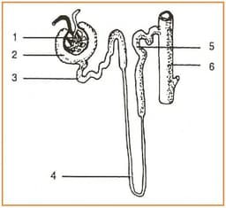 placeholder image to represent content