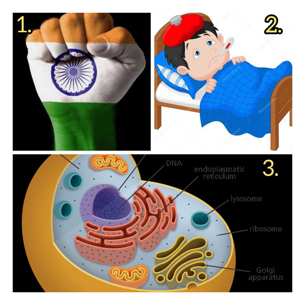 Question Image