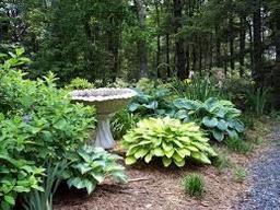 placeholder image to represent content