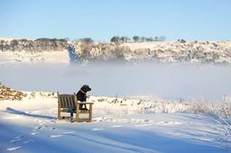 placeholder image to represent content