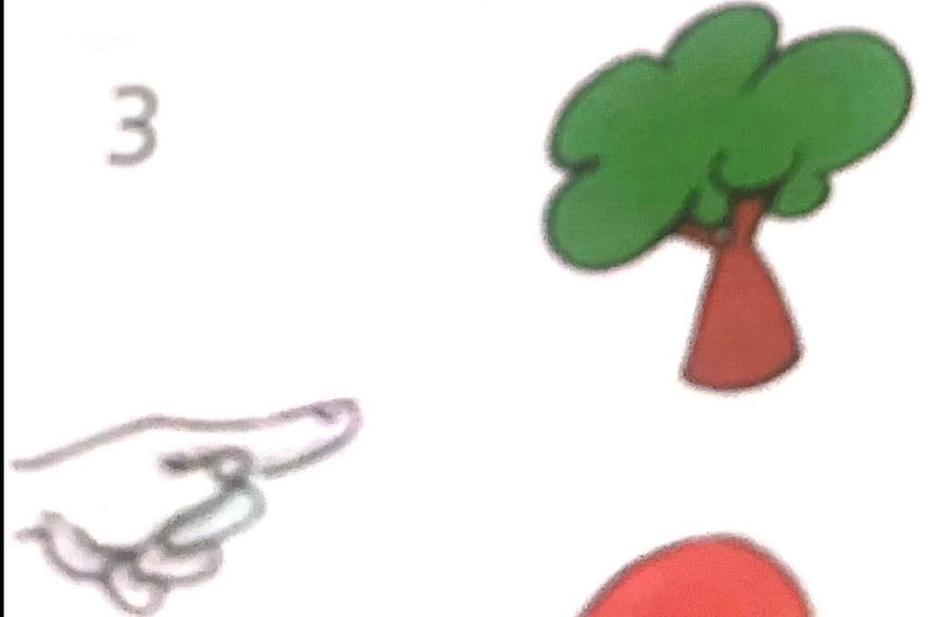 Question Image