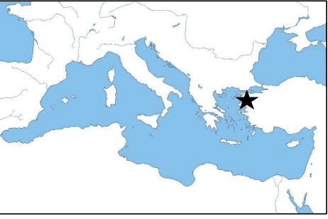 Question Image