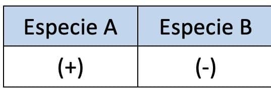 Answer Image