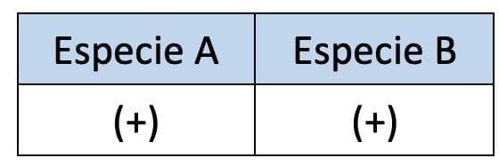 Answer Image