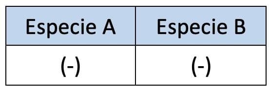 Answer Image
