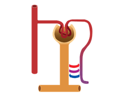 placeholder image to represent content