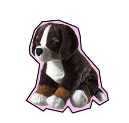 placeholder image to represent content